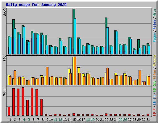 Daily usage for January 2025