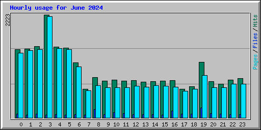 Hourly usage for June 2024