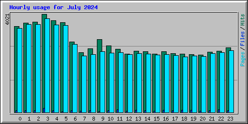 Hourly usage for July 2024