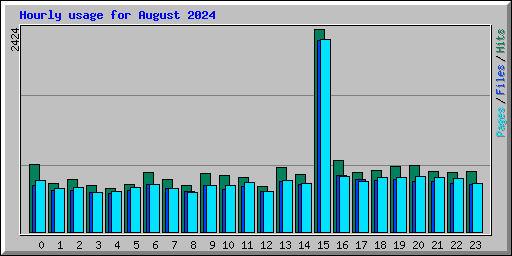 Hourly usage for August 2024