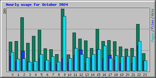 Hourly usage for October 2024