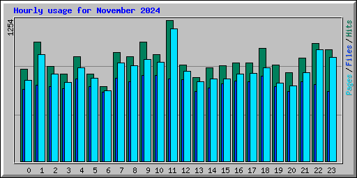 Hourly usage for November 2024