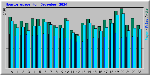 Hourly usage for December 2024