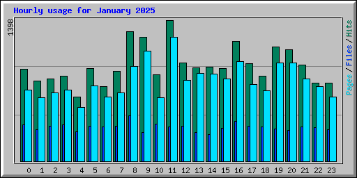 Hourly usage for January 2025