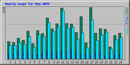 Hourly usage for May 2025
