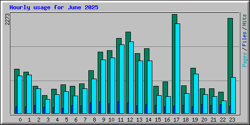 Hourly usage for June 2025