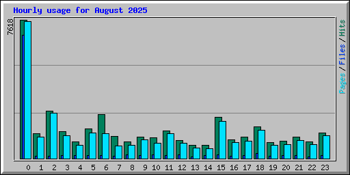 Hourly usage for August 2025