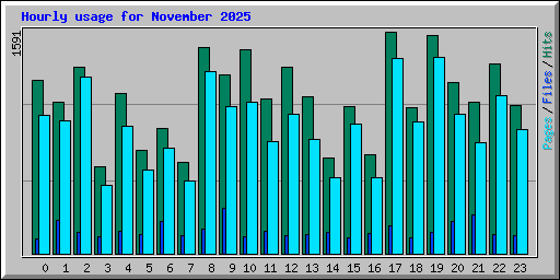 Hourly usage for November 2025