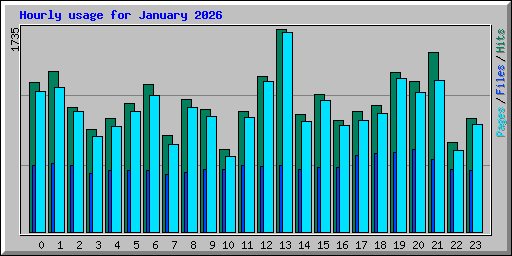 Hourly usage for January 2026