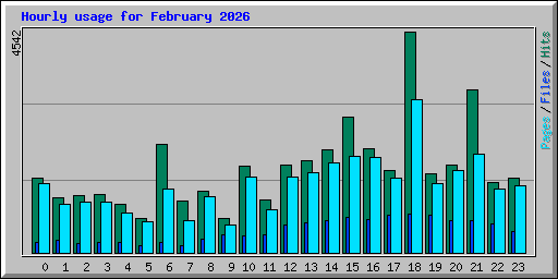Hourly usage for February 2026