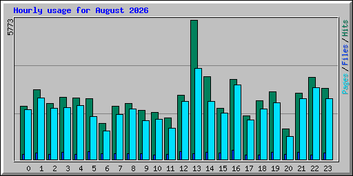 Hourly usage for August 2026