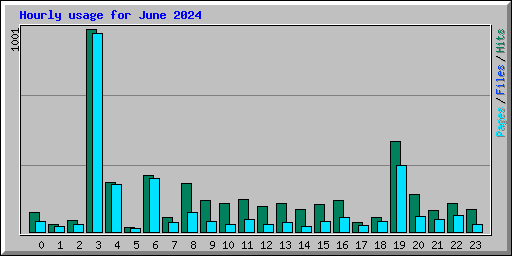 Hourly usage for June 2024