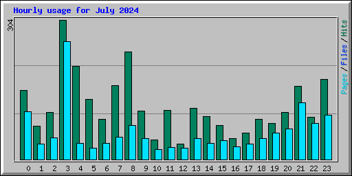 Hourly usage for July 2024