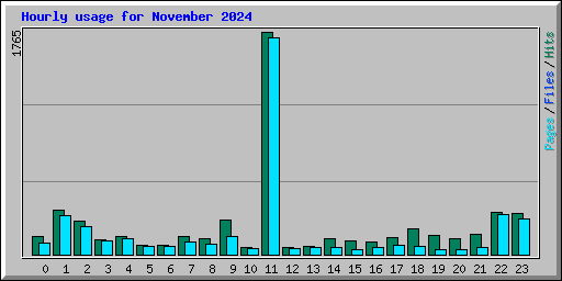 Hourly usage for November 2024