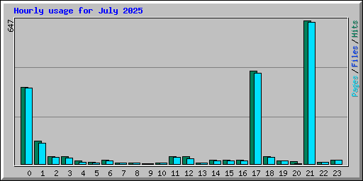 Hourly usage for July 2025