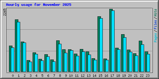 Hourly usage for November 2025