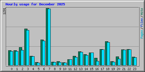 Hourly usage for December 2025