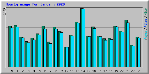 Hourly usage for January 2026
