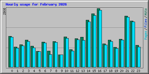 Hourly usage for February 2026